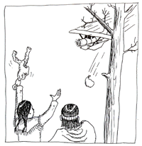 1.gif (16048 ¦r?)