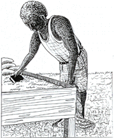 30.gif (21902 ¦r?)