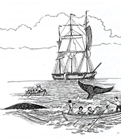 36.gif (19654 r?)